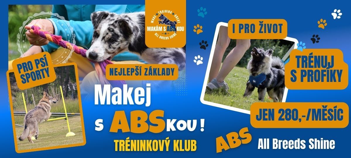 Makám s ABSkou - tréninkový KLUB